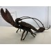 Декорация Lobster | EU
