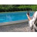 Система за мониторинг и контрол за басейни Pool Cop Evolution | EU